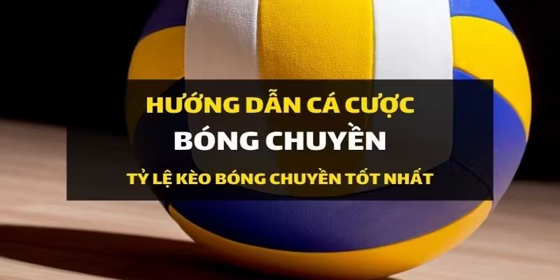 cách chơi cá độ bóng chuyền cách chơi cá độ bóng chuyền