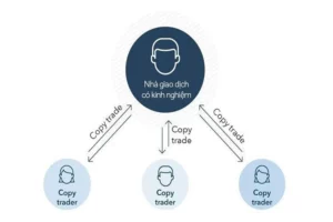 Các chuyên gia tài chính đang thảo luận về lựa chọn sàn copy trade phù hợp