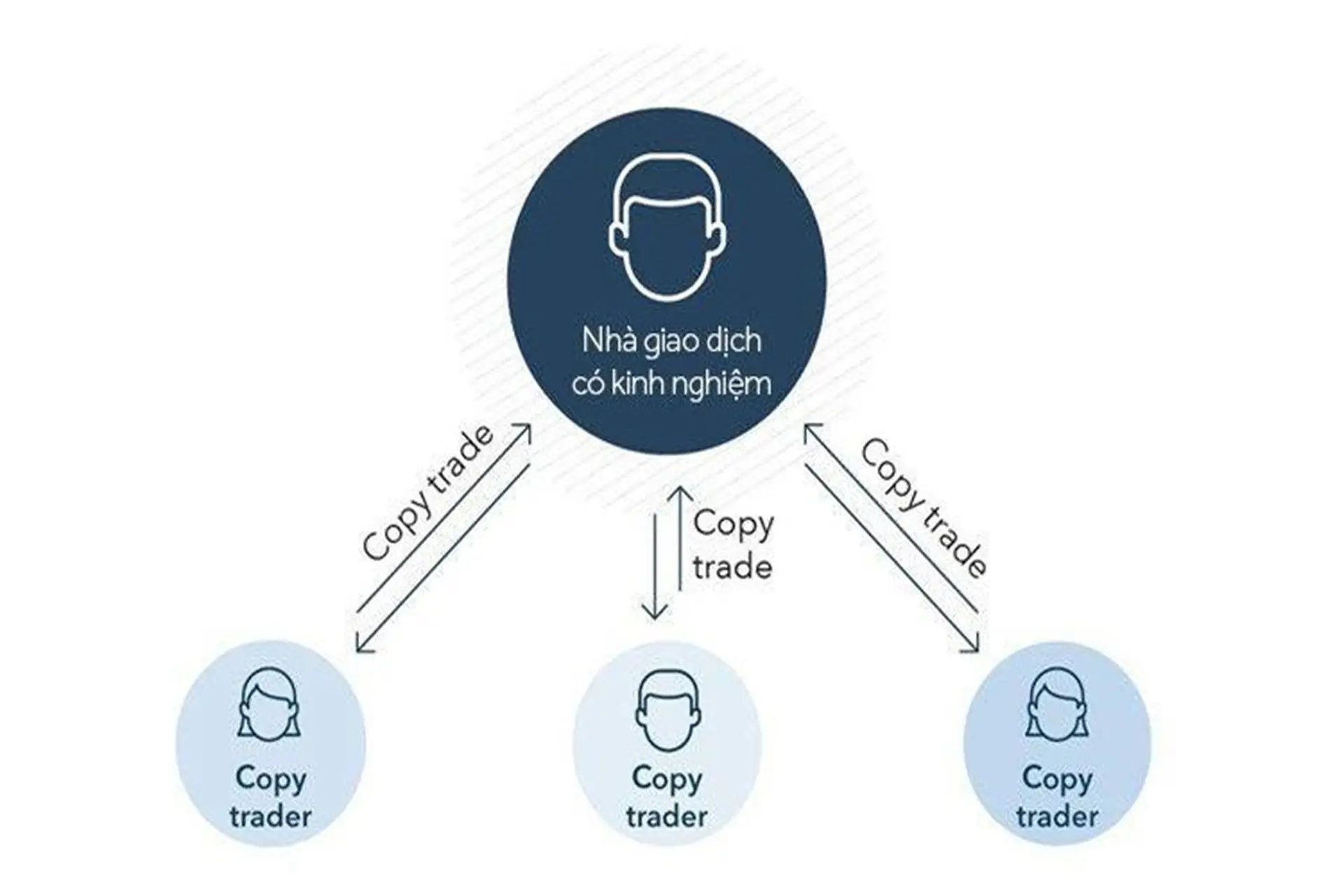 Các chuyên gia tài chính đang thảo luận về lựa chọn sàn copy trade phù hợp