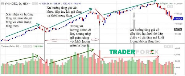 Biểu đồ thể hiện khối lượng giao dịch và động lượng thị trường