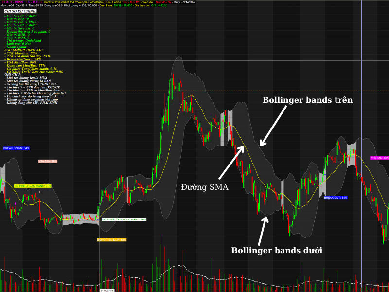 Biểu đồ phân tích kỹ thuật giúp dự đoán xu hướng giá trong giao dịch Forex