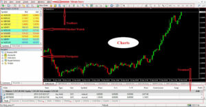 Giao diện của một phần mềm phân tích kỹ thuật Forex hiển thị các biểu đồ và chỉ báo kỹ thuật